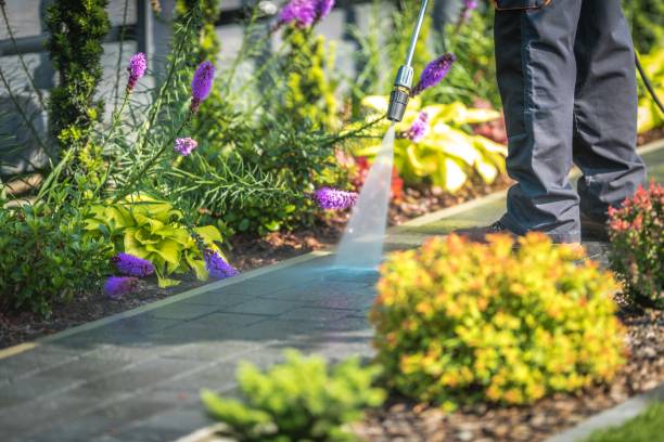 Best Animal Enclosure Cleaning  in Sto Brook University, NY